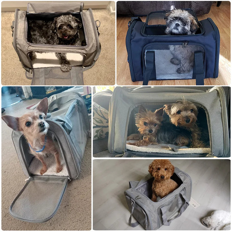 Bolsa TransportPet para Viagens e Transportes Macia | Cães e Gatos Pequenos